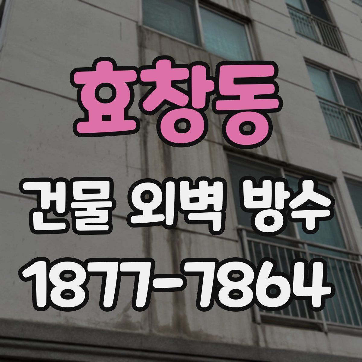 효창동 건물 외벽 방수
