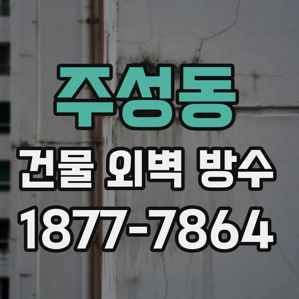 주성동 건물 외벽 방수
