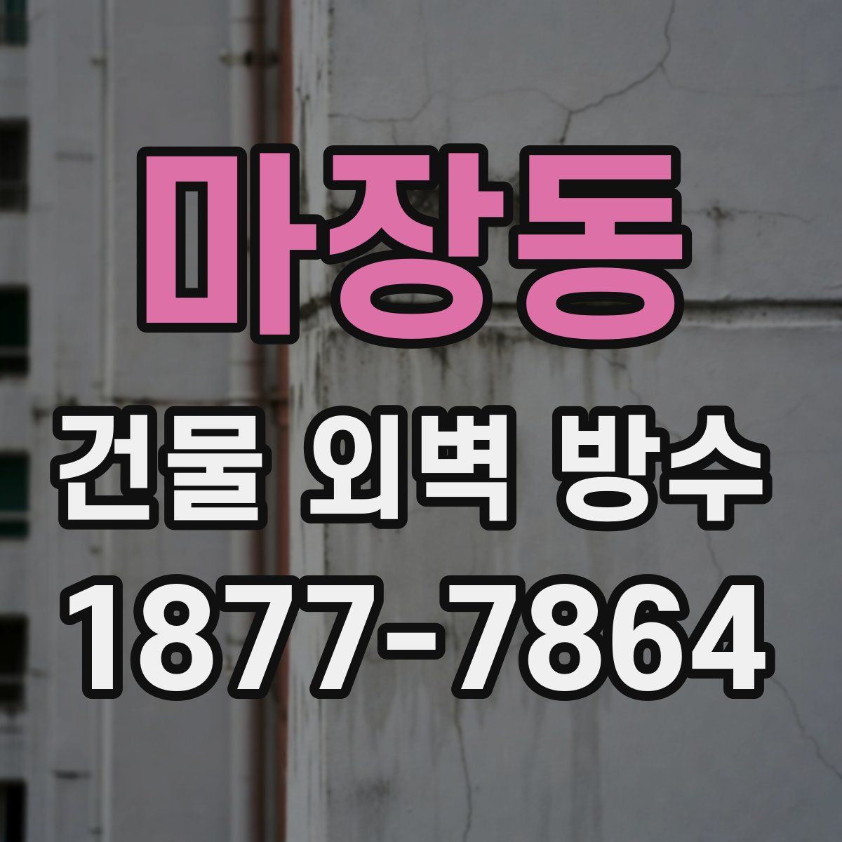 마장동 건물 외벽 방수