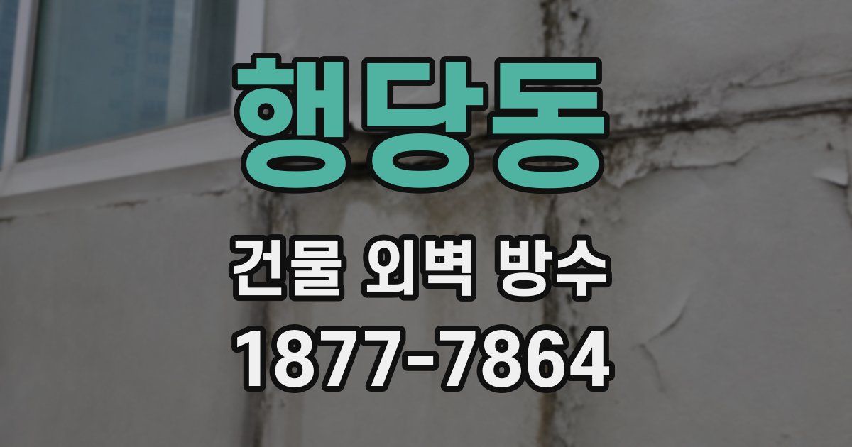 행당동 건물 외벽 방수