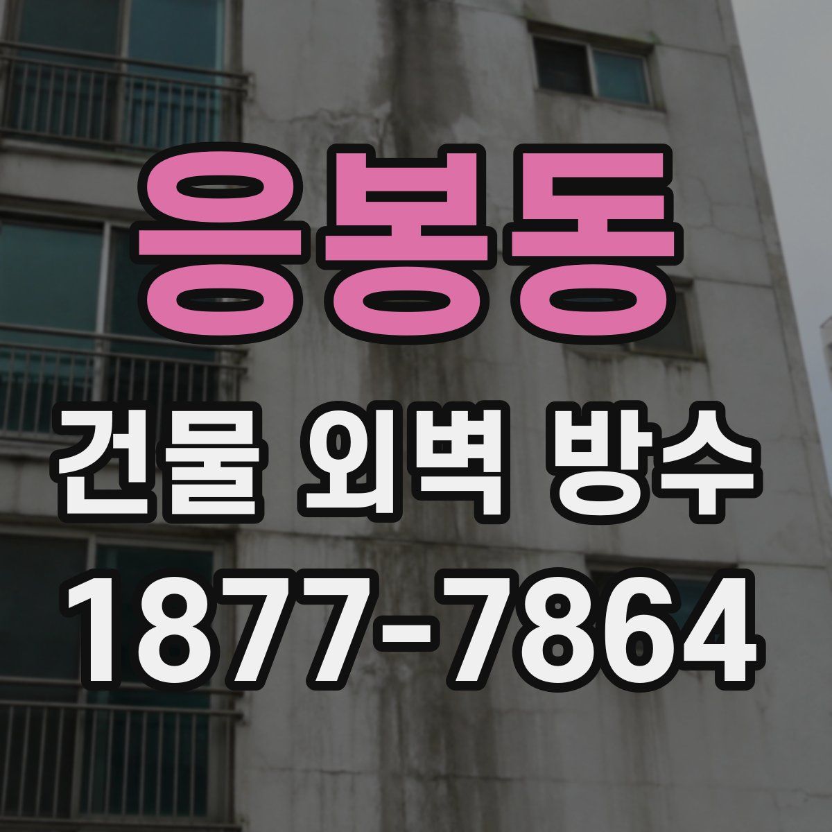 응봉동 건물 외벽 방수