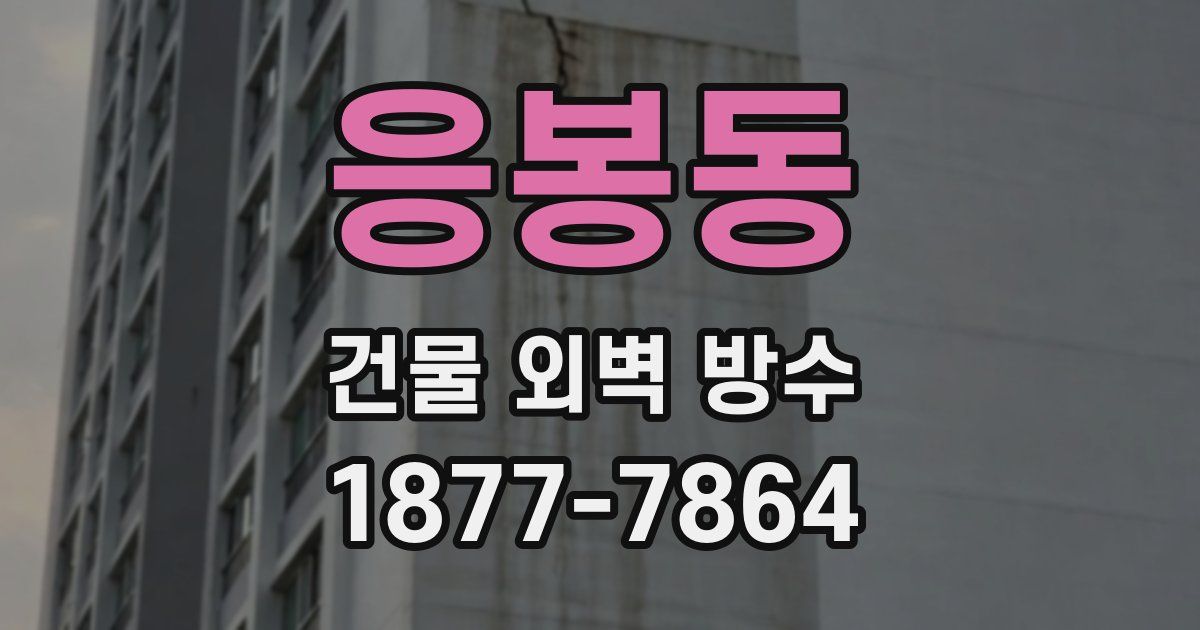 응봉동 건물 외벽 방수