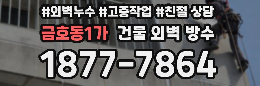 금호동1가 건물 외벽 방수