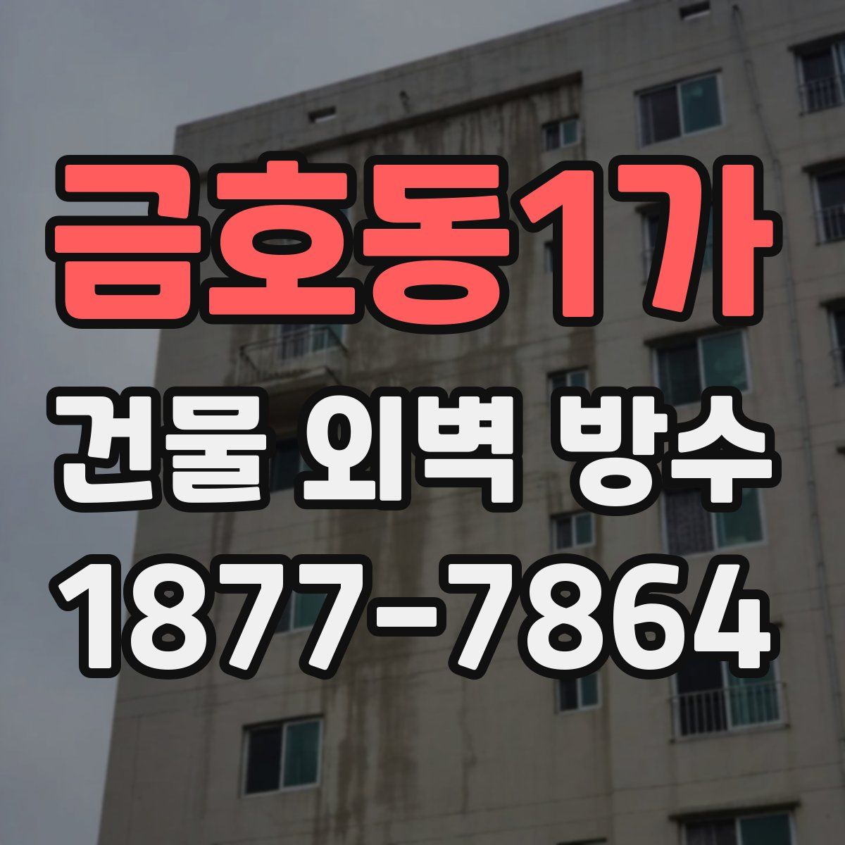 금호동1가 건물 외벽 방수