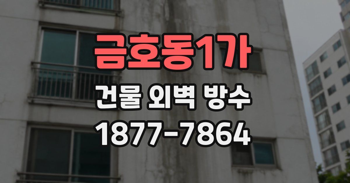 금호동1가 건물 외벽 방수