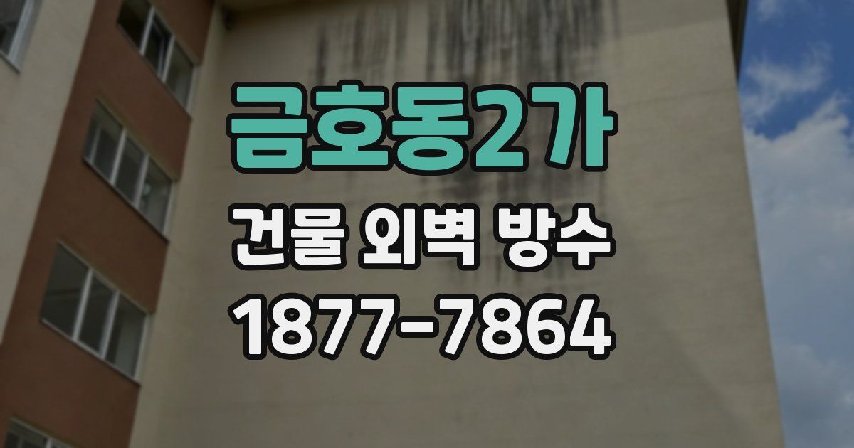 금호동2가 건물 외벽 방수