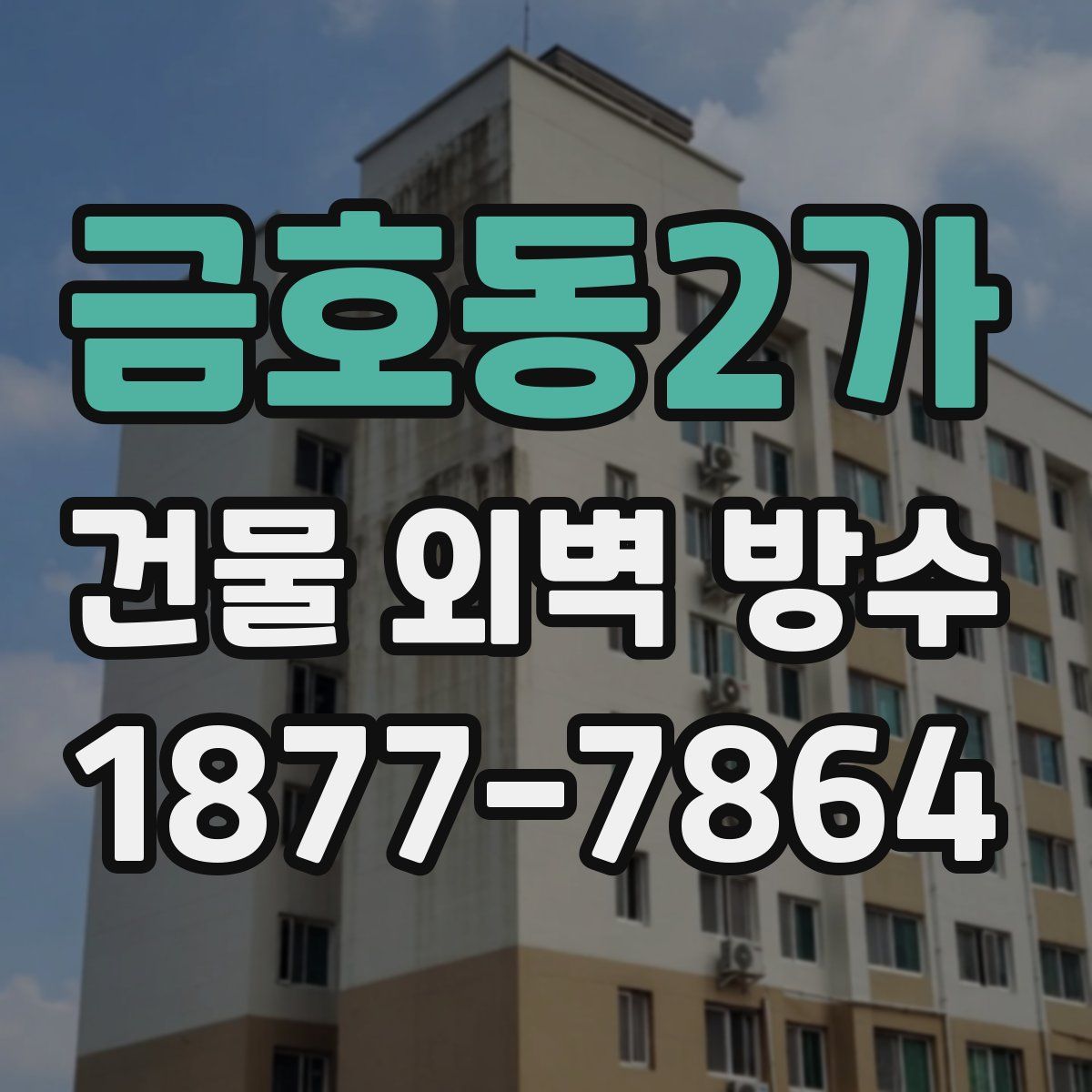 금호동2가 건물 외벽 방수