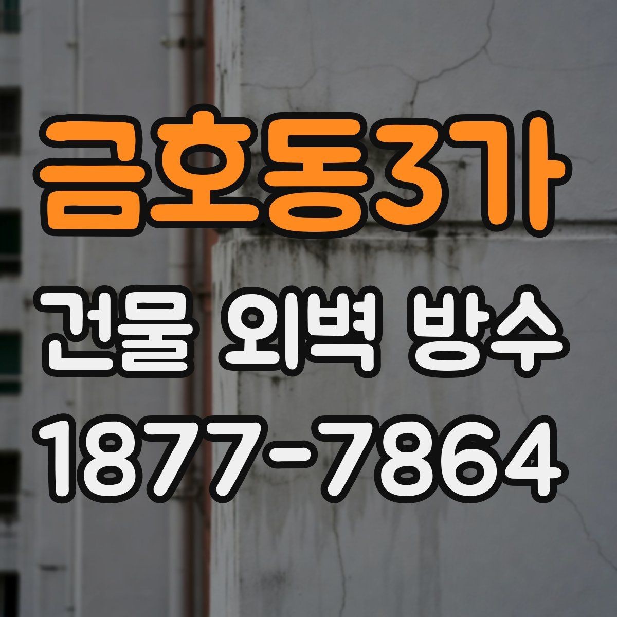 금호동3가 건물 외벽 방수 마감재 종류별 활용 사례
