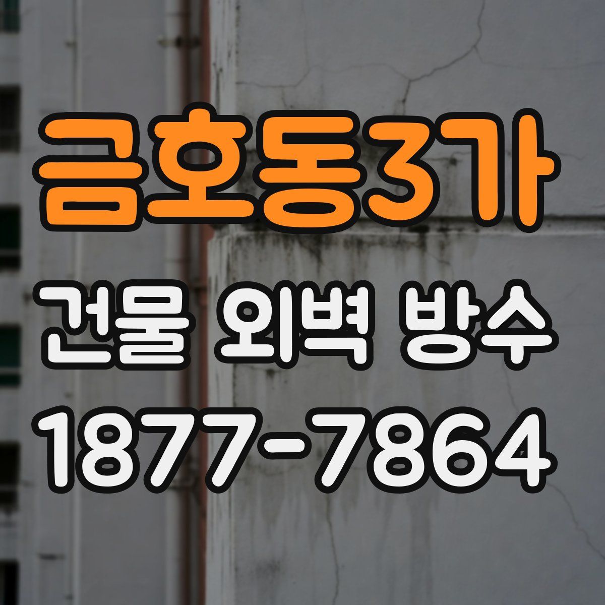 금호동3가 건물 외벽 방수