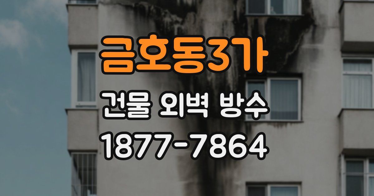 금호동3가 건물 외벽 방수