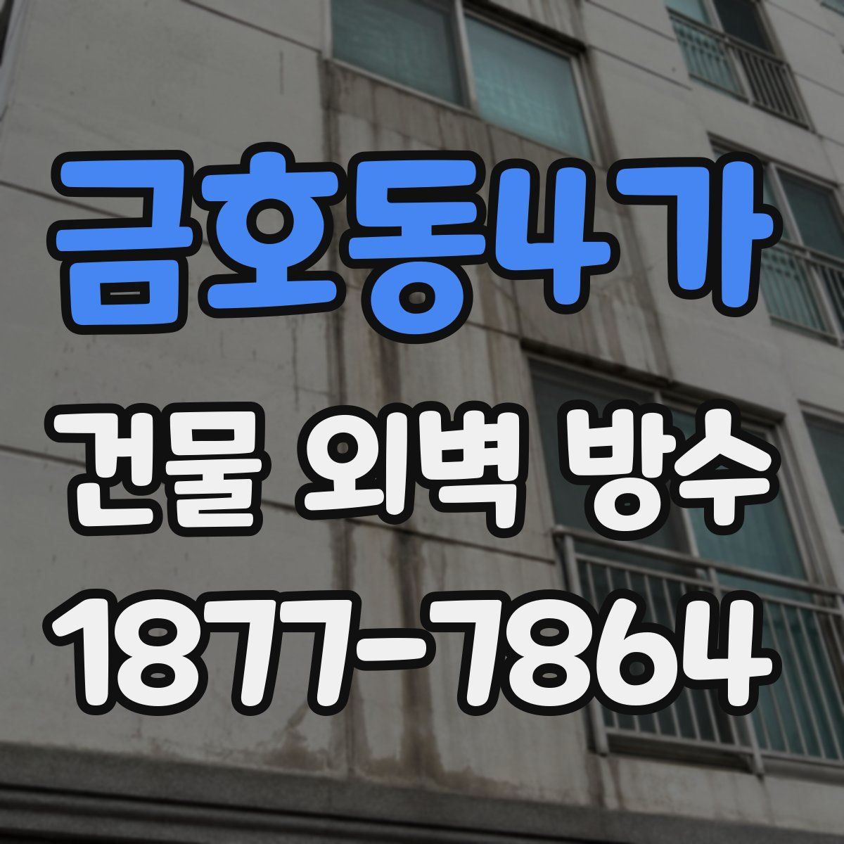금호동4가 건물 외벽 방수