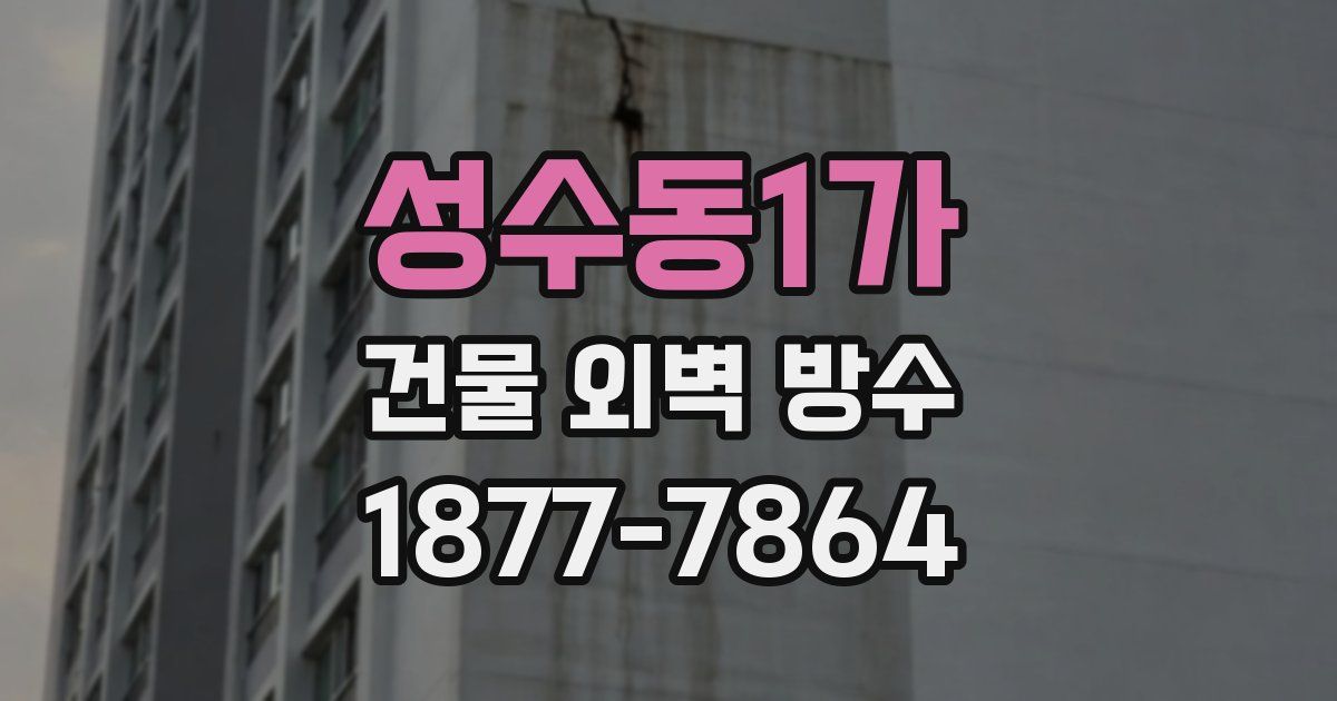 성수동1가 건물 외벽 방수