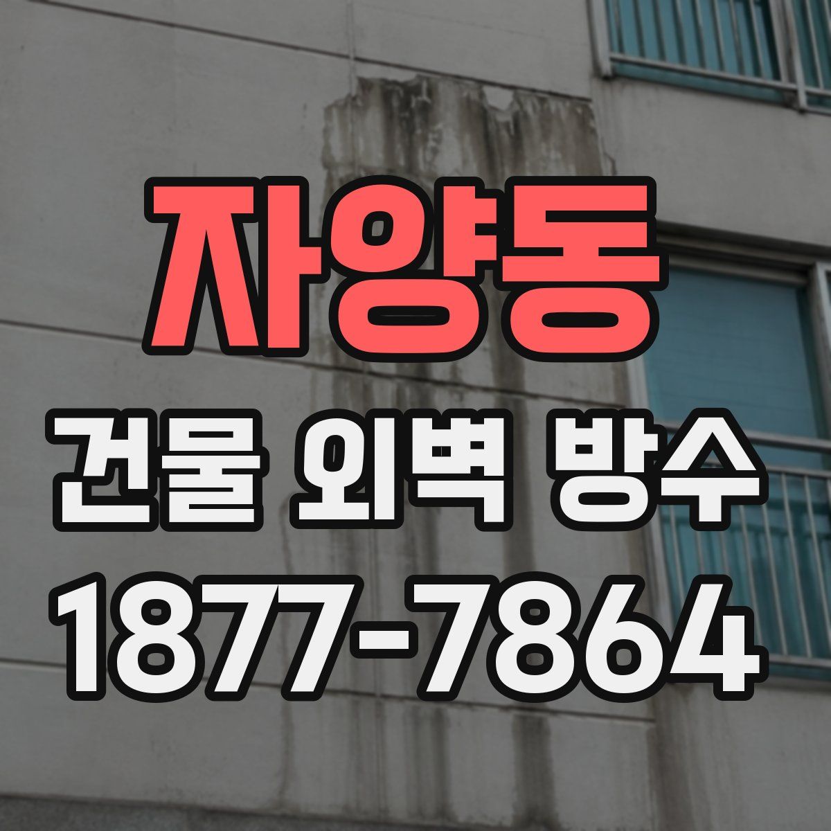 자양동 건물 외벽 방수
