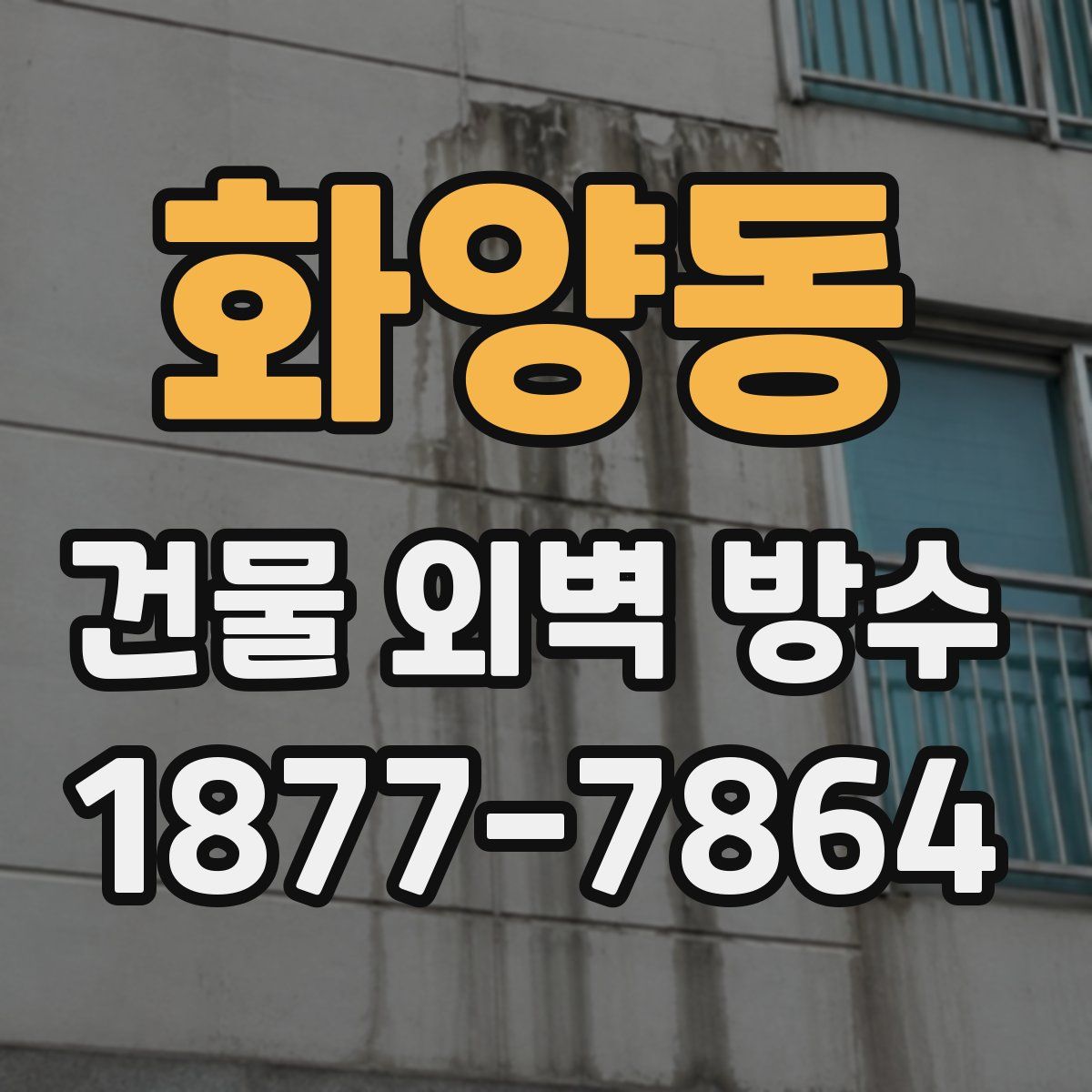 화양동 건물 외벽 방수