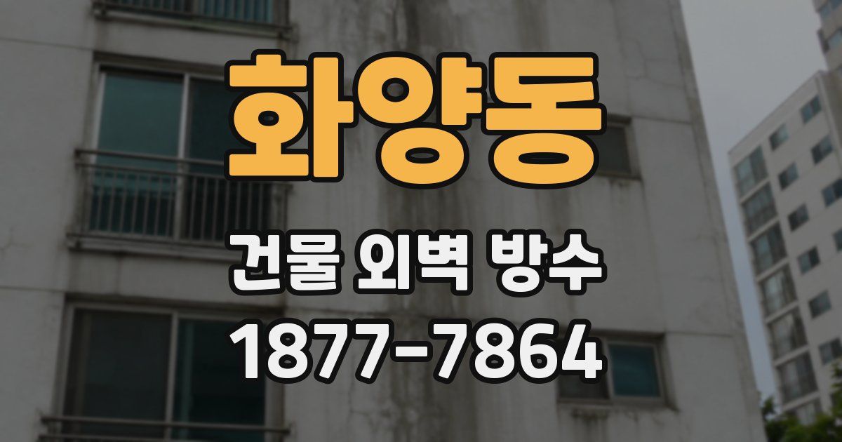 화양동 건물 외벽 방수