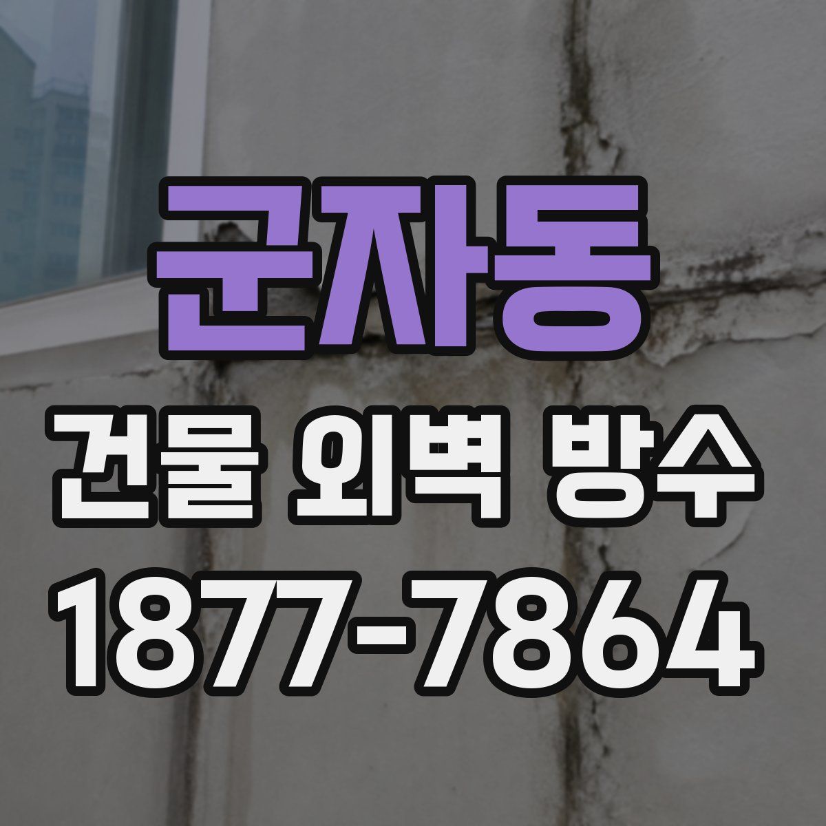 군자동 건물 외벽 방수