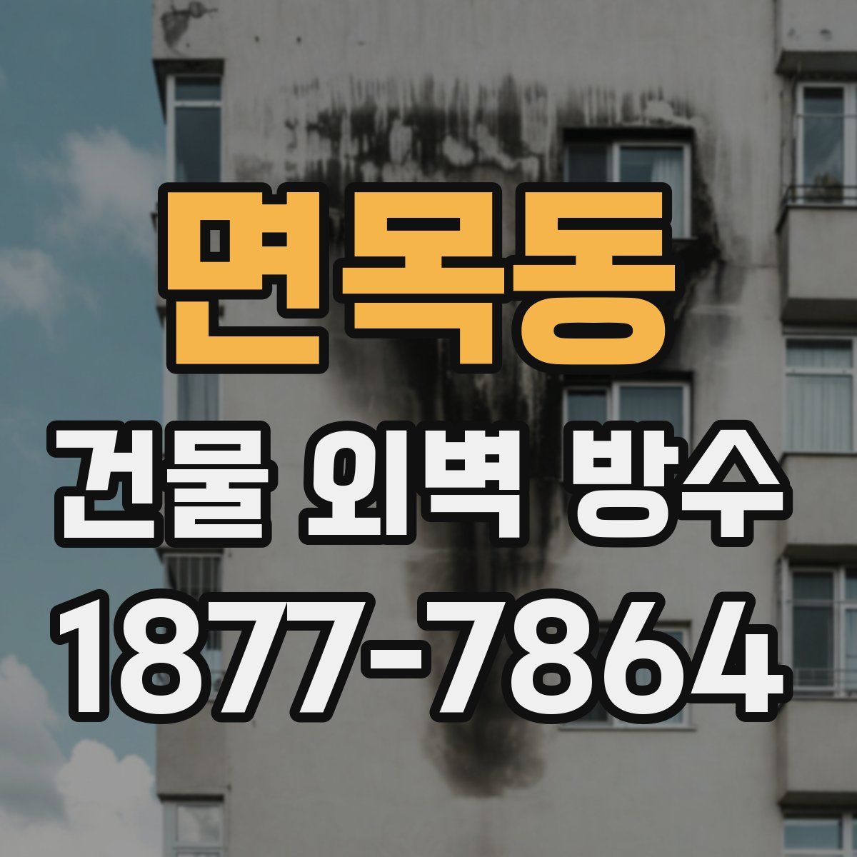 면목동 건물 외벽 방수