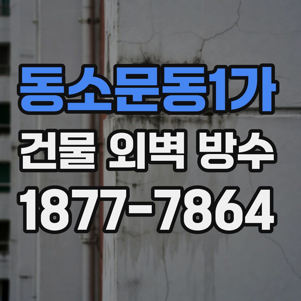 동소문동1가 건물 외벽 방수