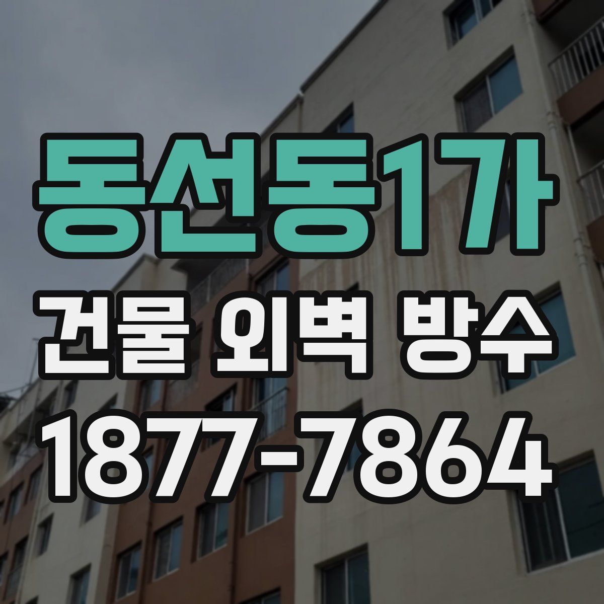 동선동1가 건물 외벽 방수