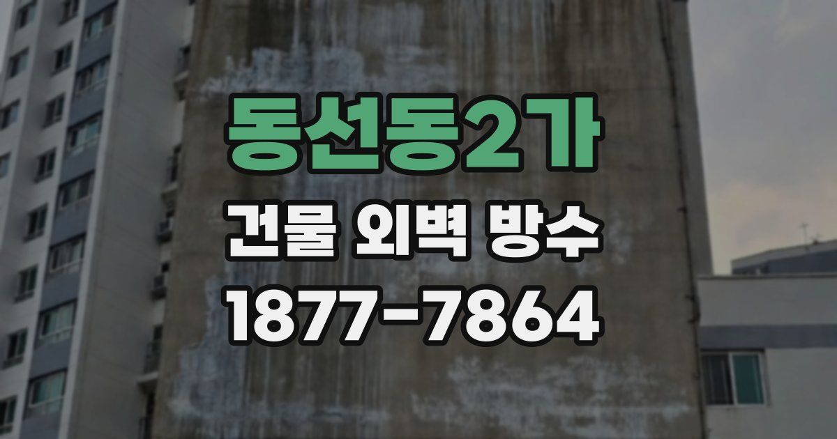 동선동2가 건물 외벽 방수