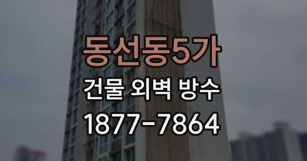 동선동5가 건물 외벽 방수