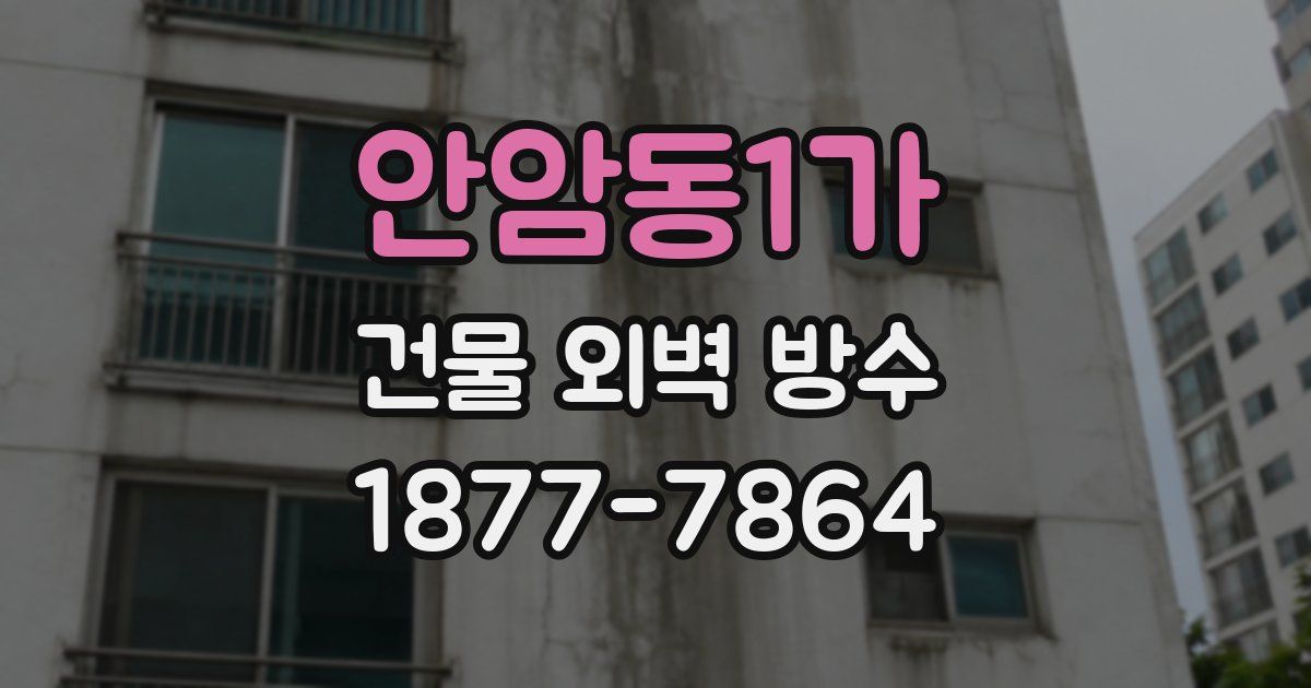 안암동1가 건물 외벽 방수