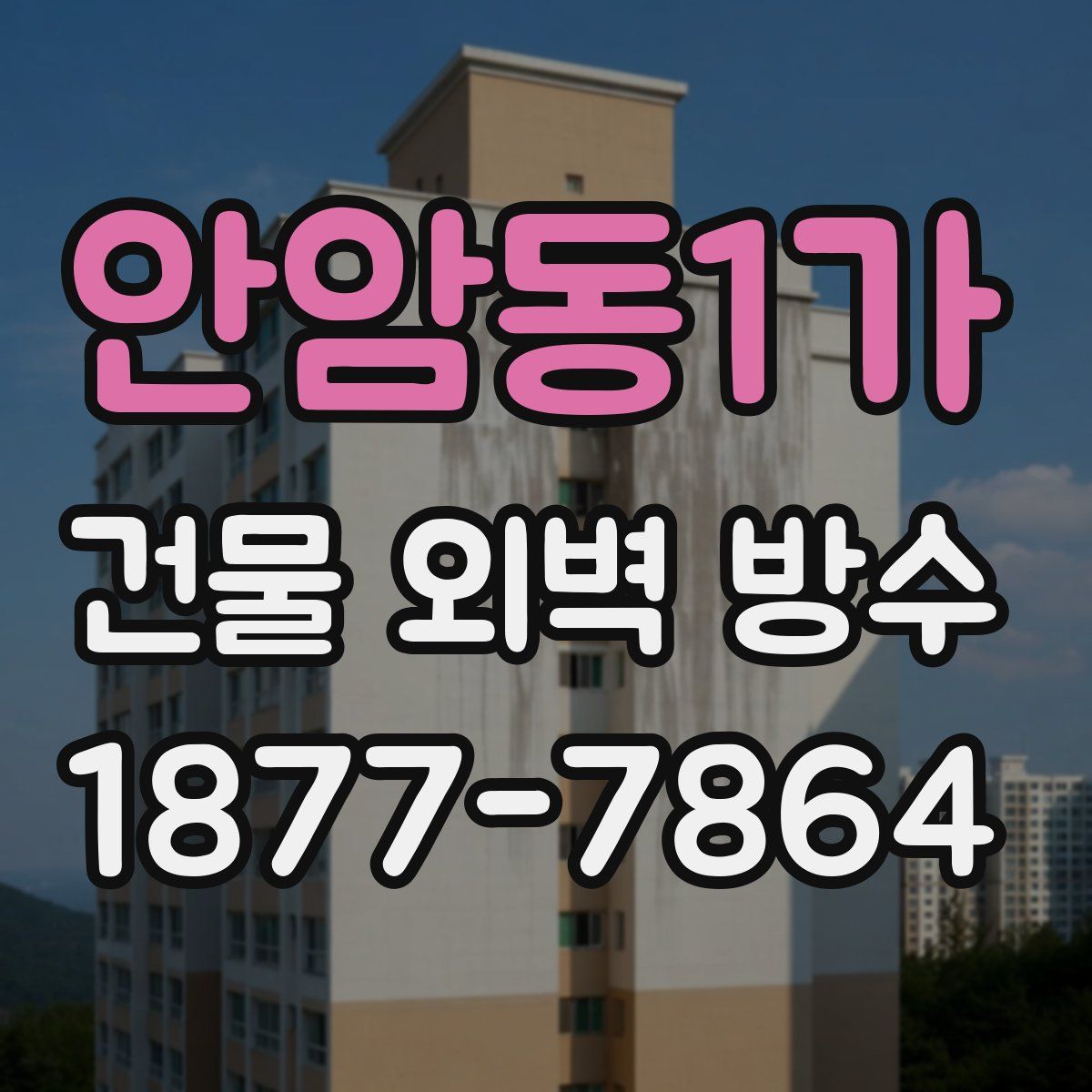 안암동1가 건물 외벽 방수