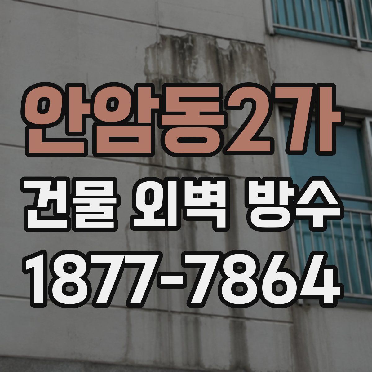 안암동2가 건물 외벽 방수