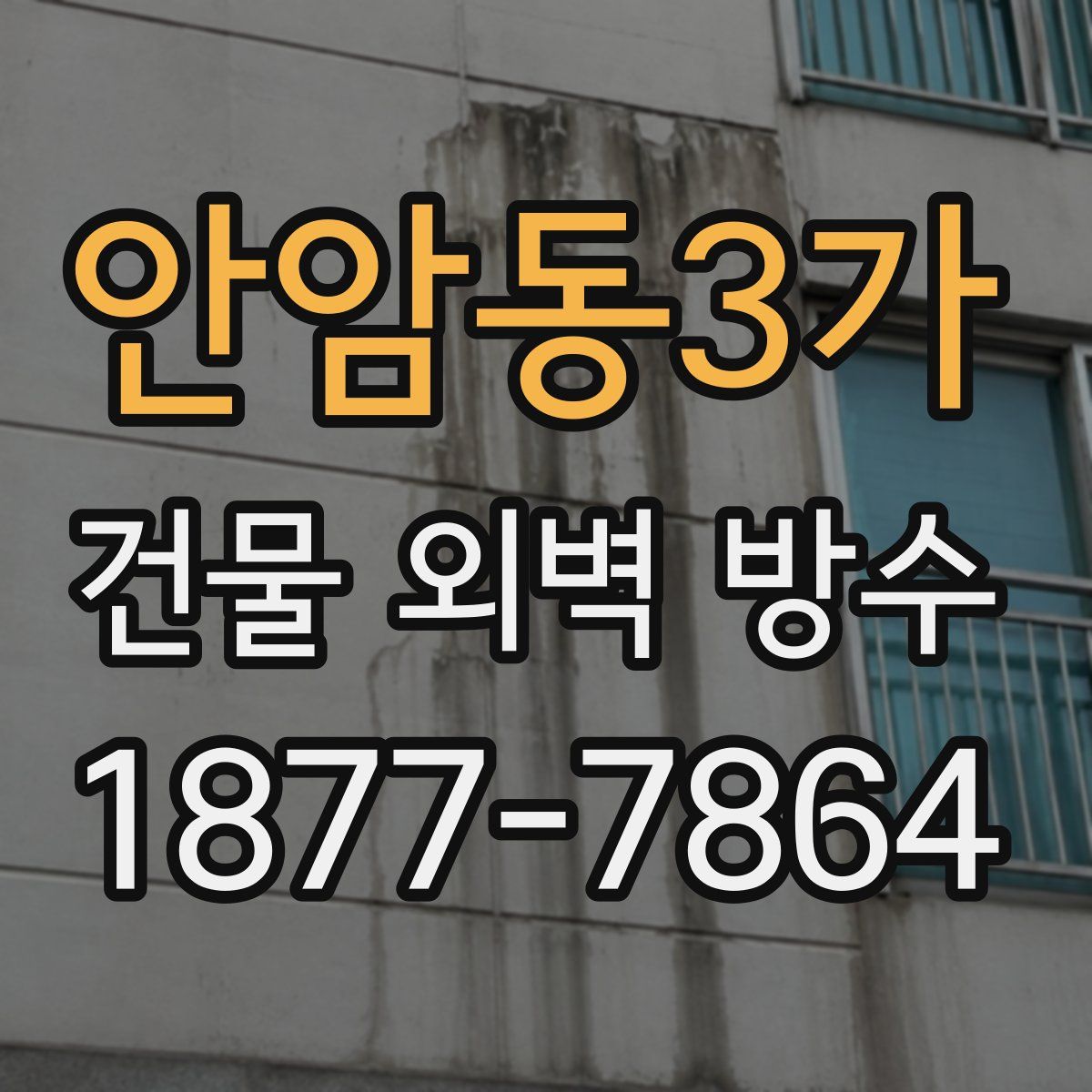 안암동3가 건물 외벽 방수