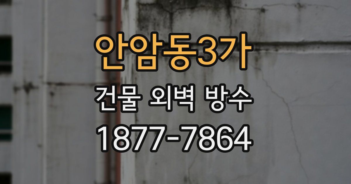 안암동3가 건물 외벽 방수