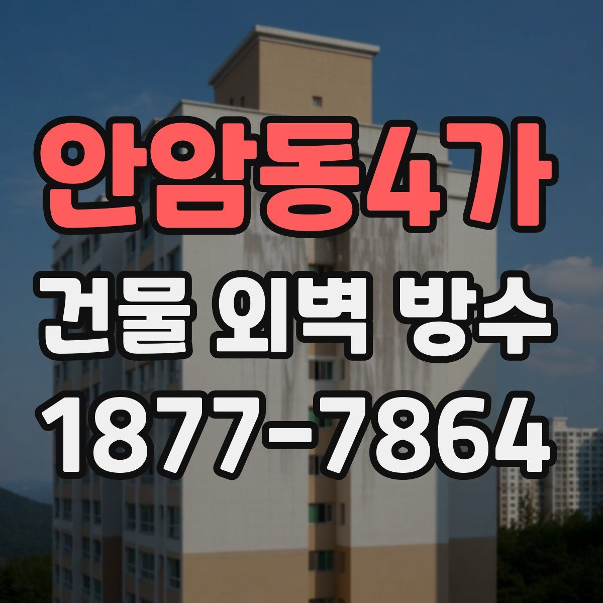안암동4가 건물 외벽 방수