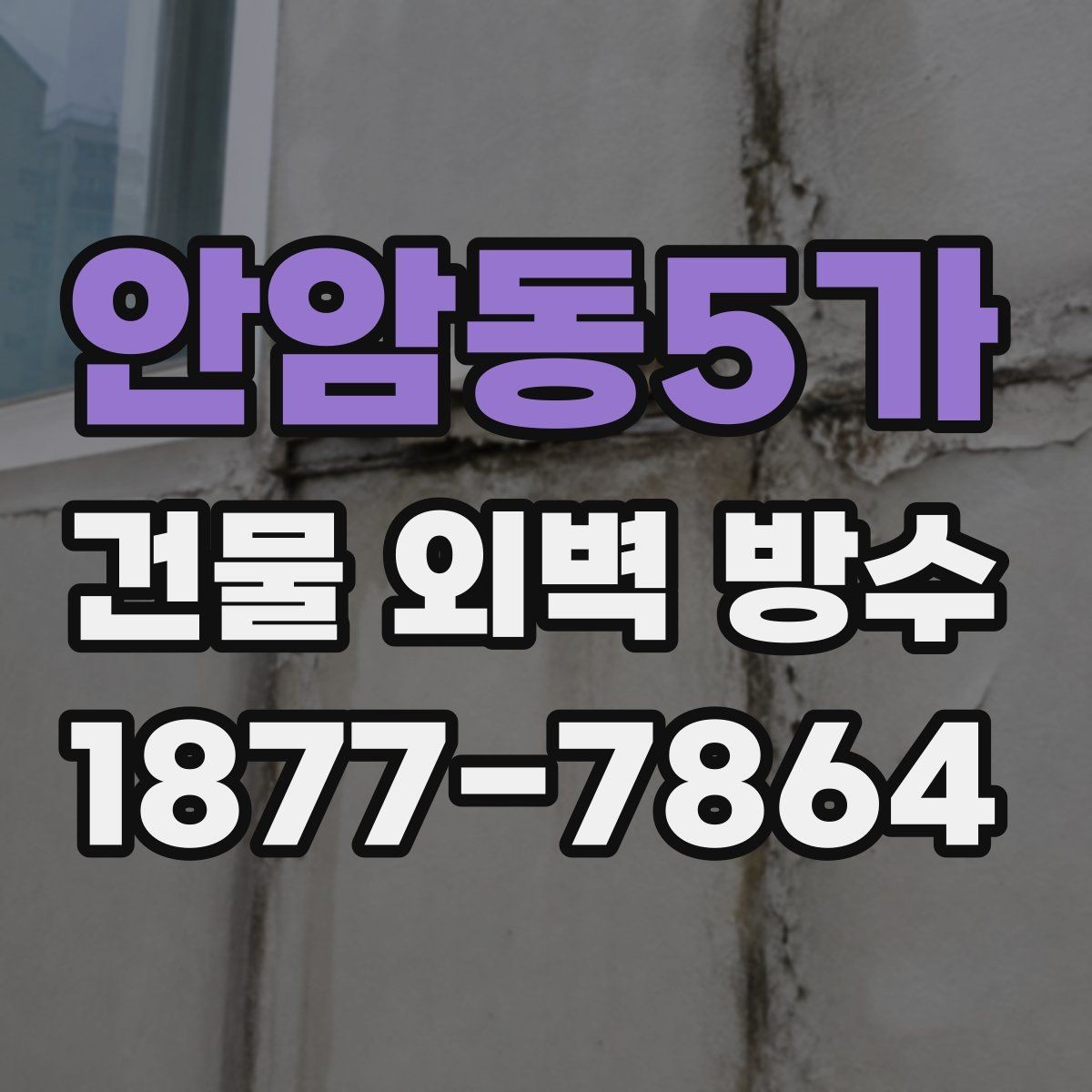 안암동5가 건물 외벽 방수 누수 원인 추적과 해결 방향
