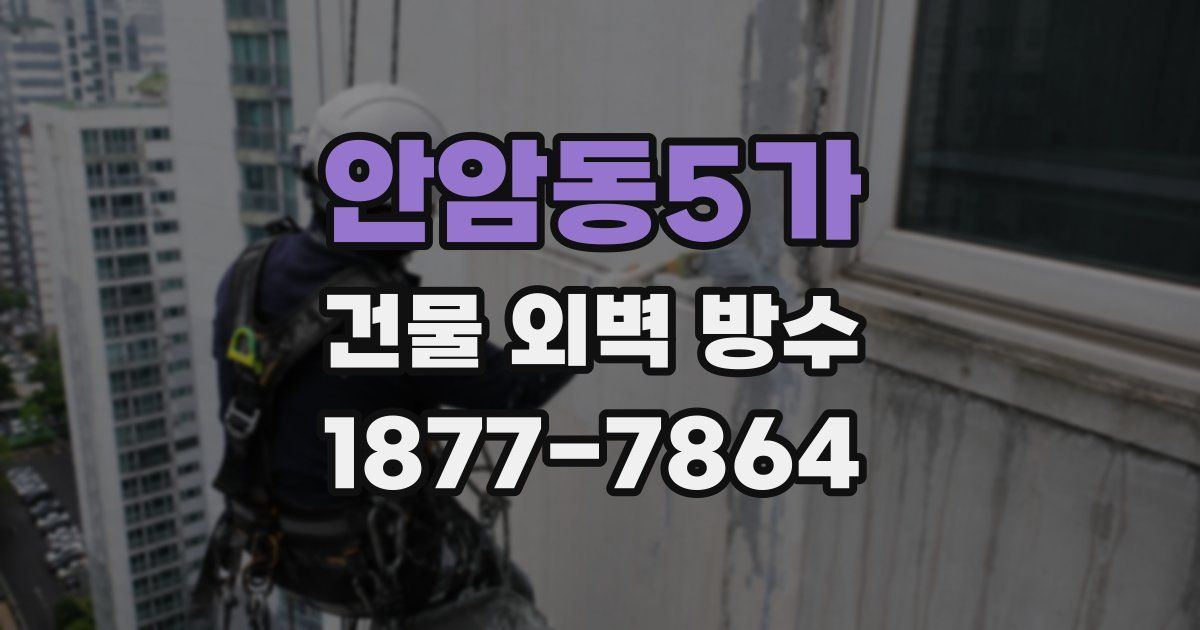 안암동5가 건물 외벽 방수