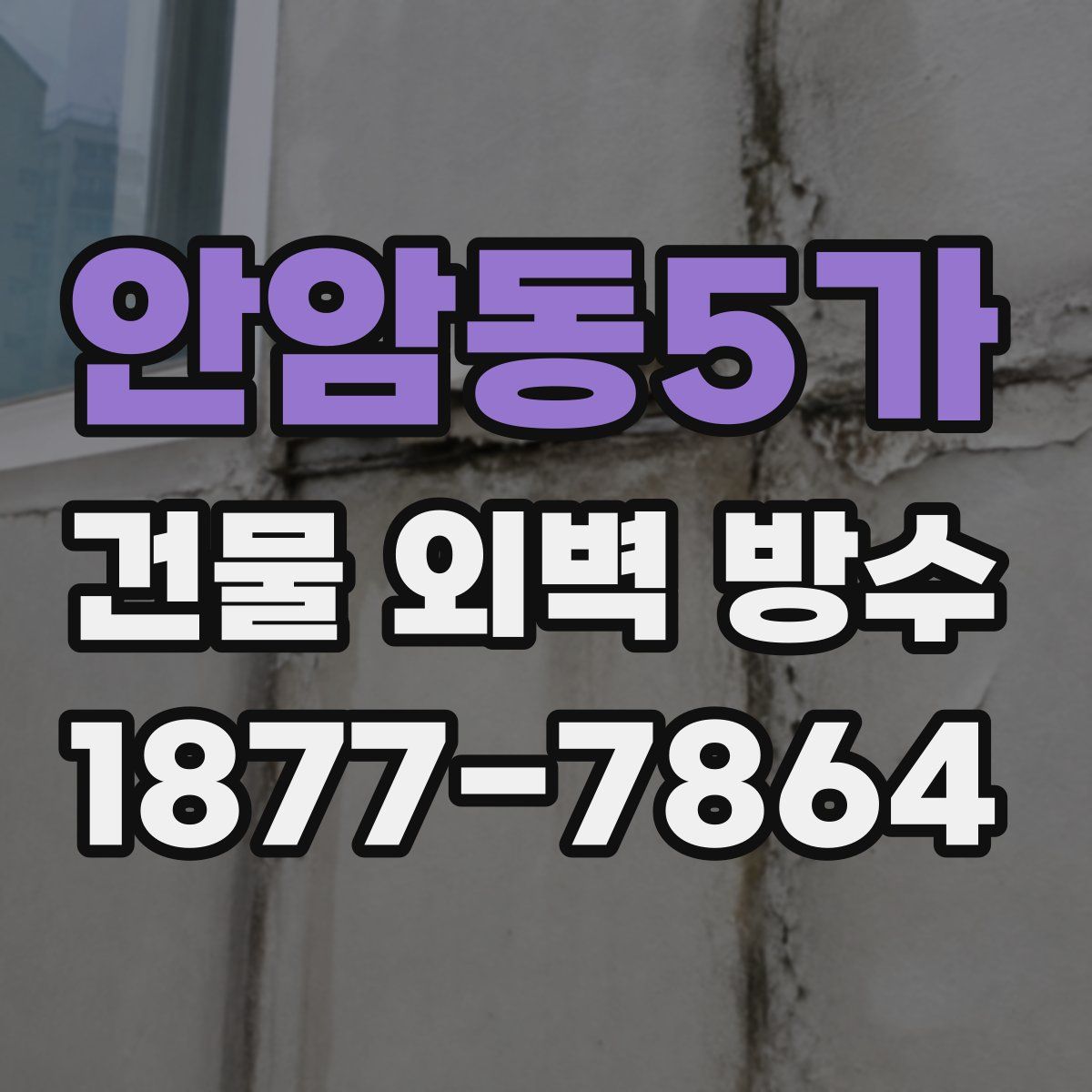 안암동5가 건물 외벽 방수