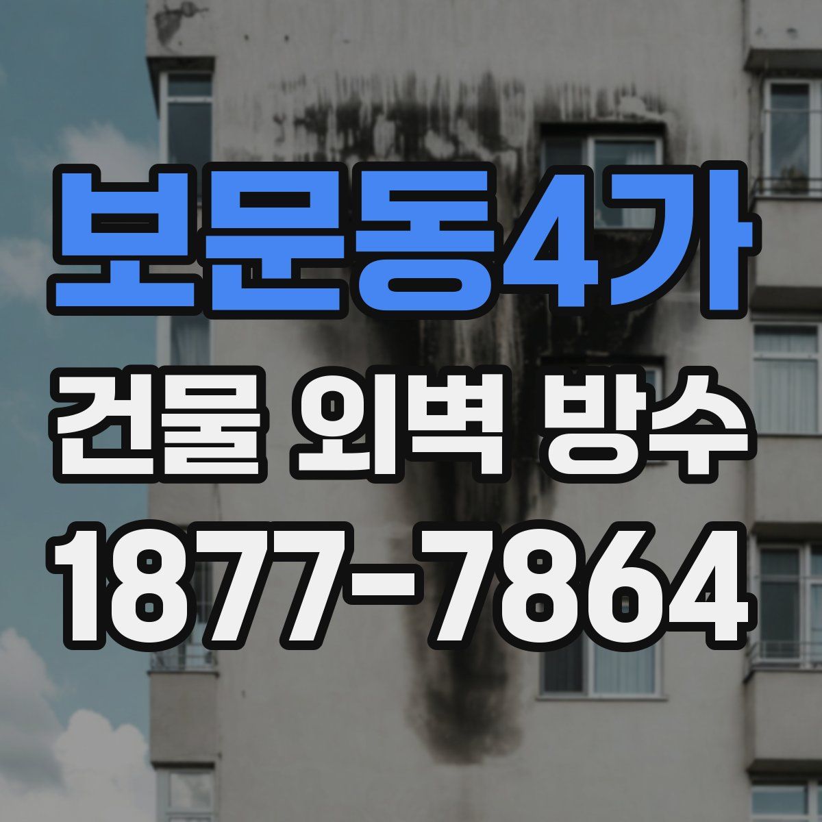 보문동4가 건물 외벽 방수
