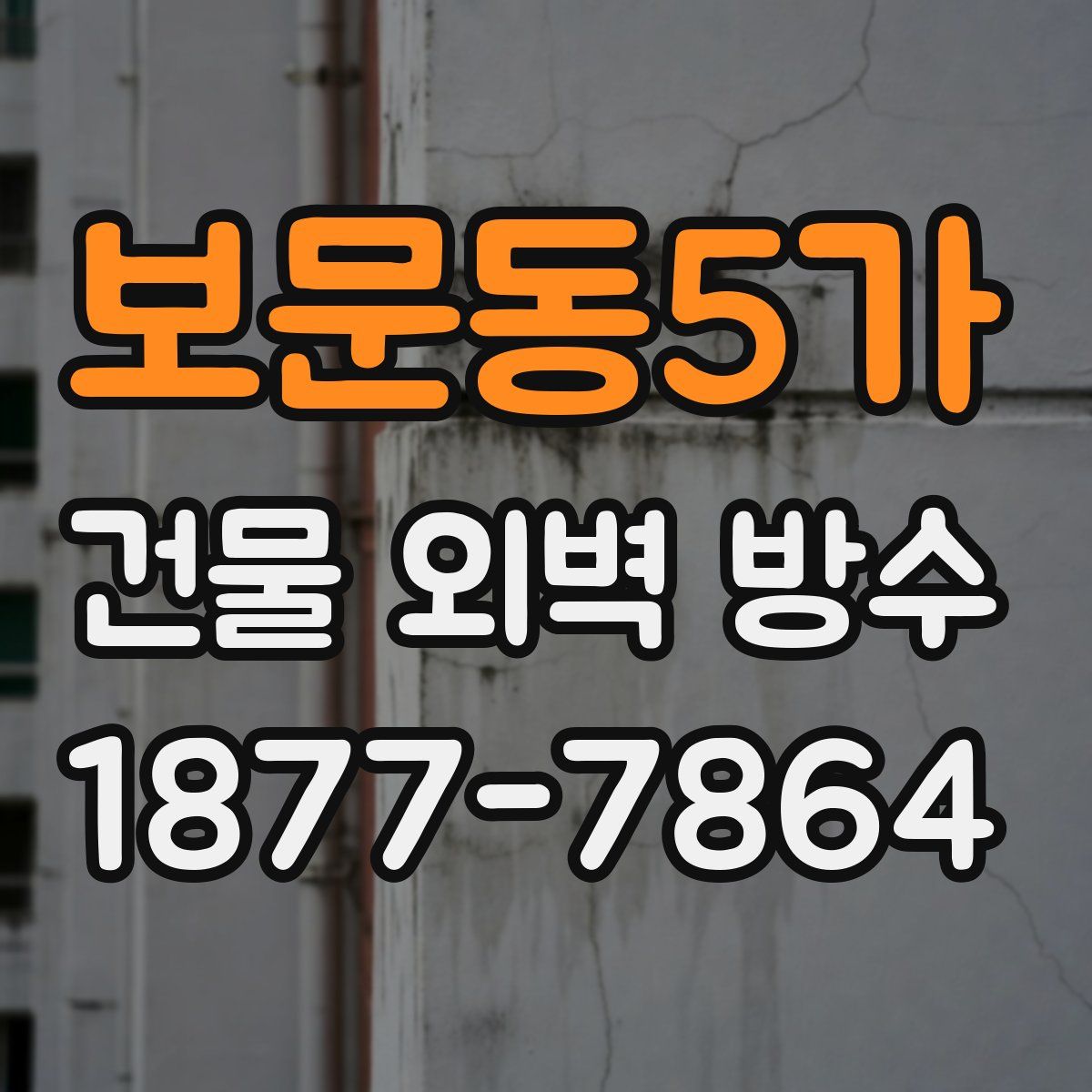 보문동5가 건물 외벽 방수