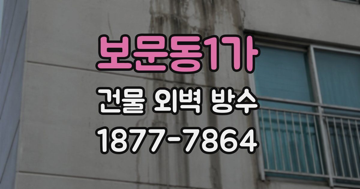 보문동1가 건물 외벽 방수
