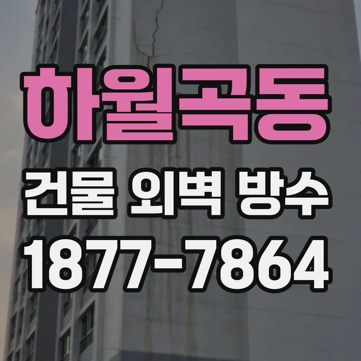 하월곡동 건물 외벽 방수