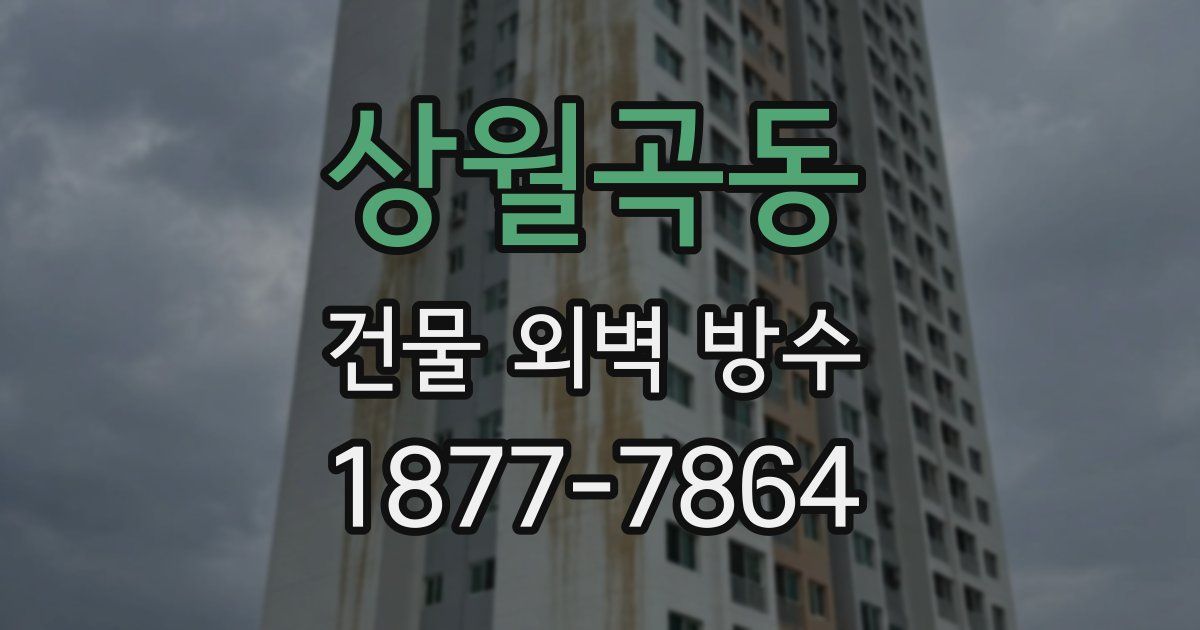 상월곡동 건물 외벽 방수