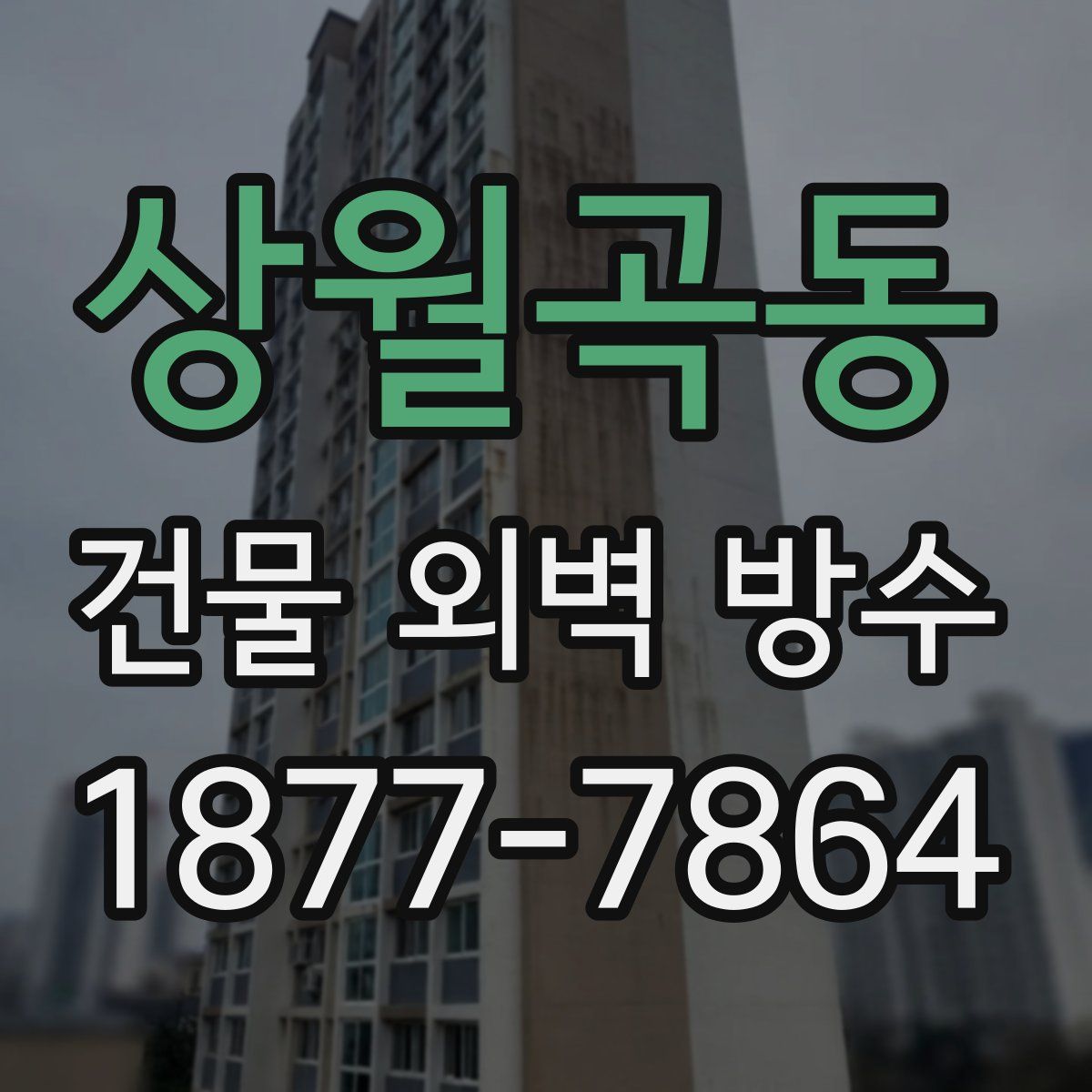 상월곡동 건물 외벽 방수