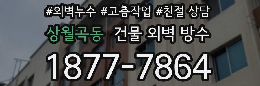 상월곡동 건물 외벽 방수