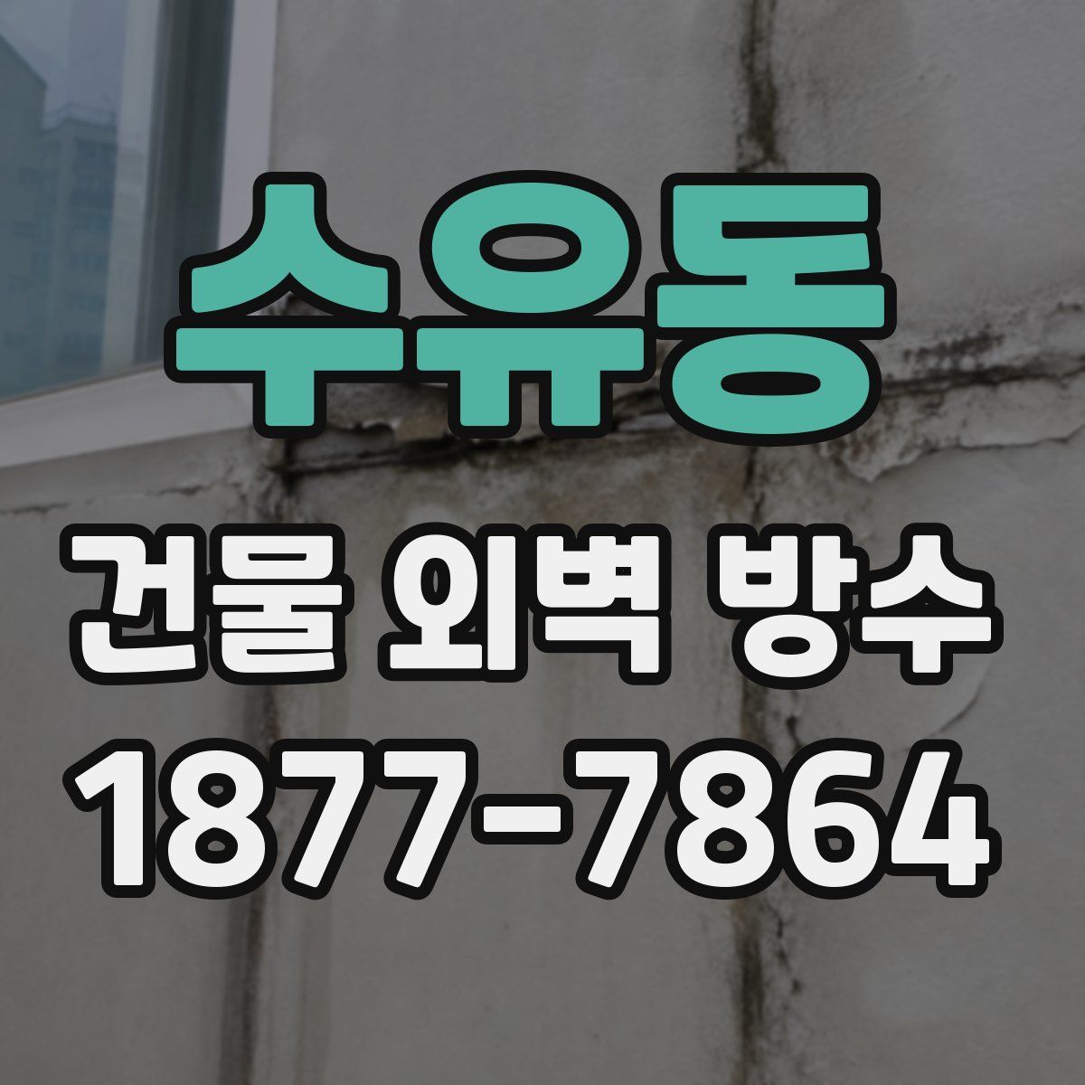 수유동 건물 외벽 방수
