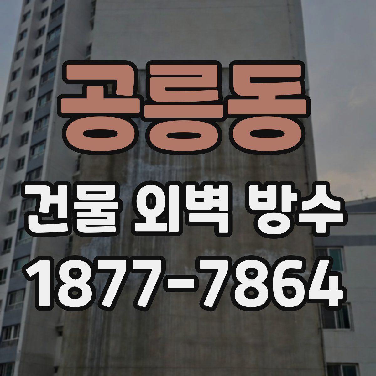 공릉동 건물 외벽 방수