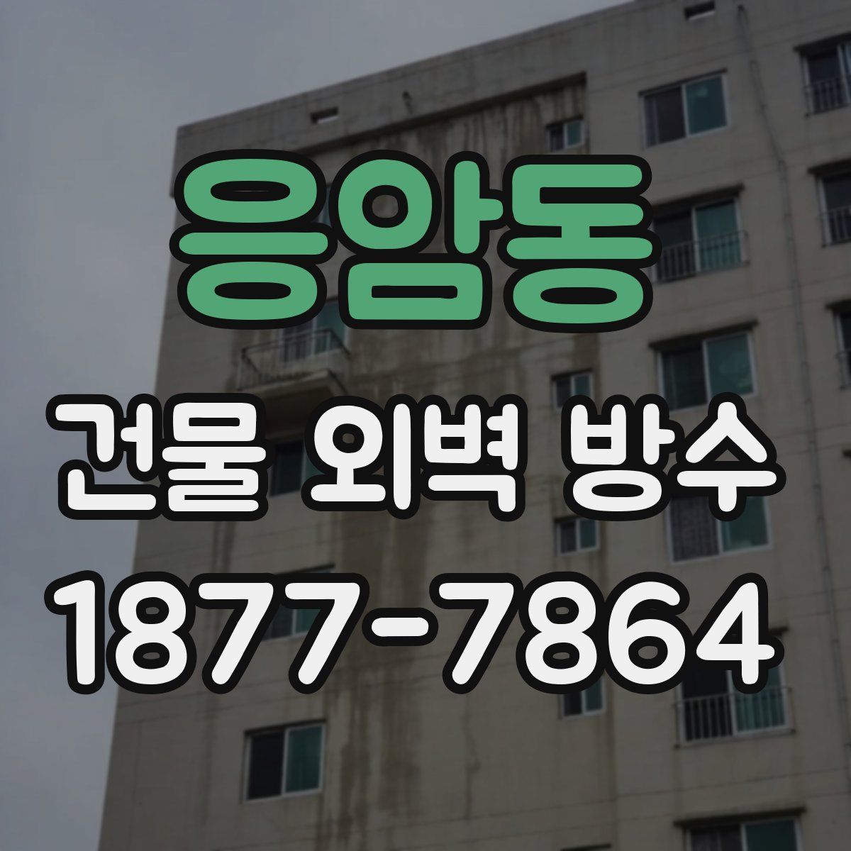 응암동 건물 외벽 방수