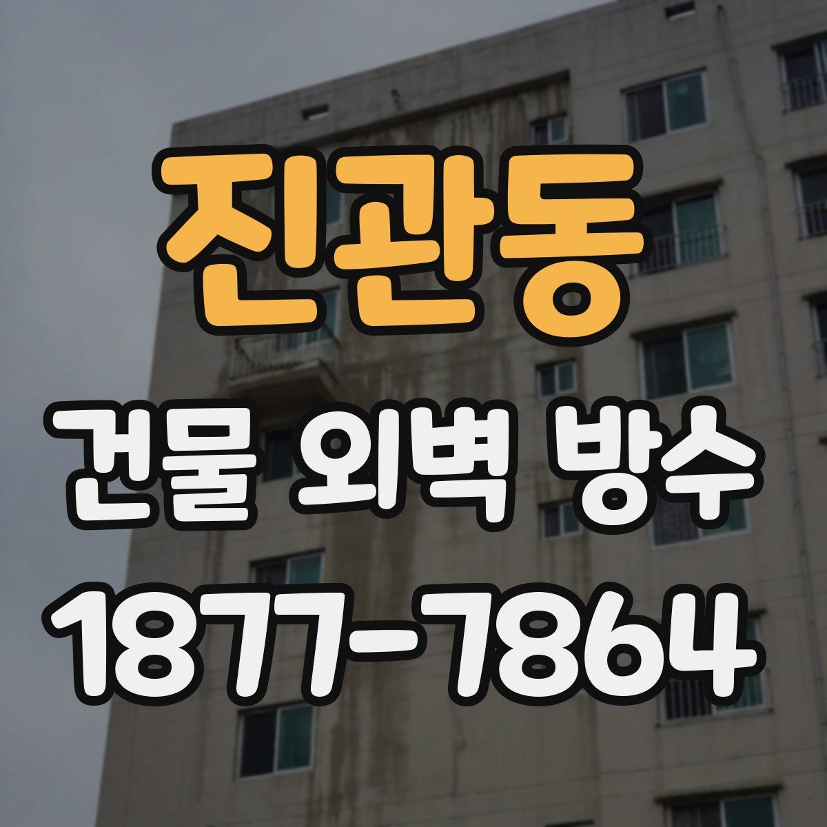 진관동 건물 외벽 방수