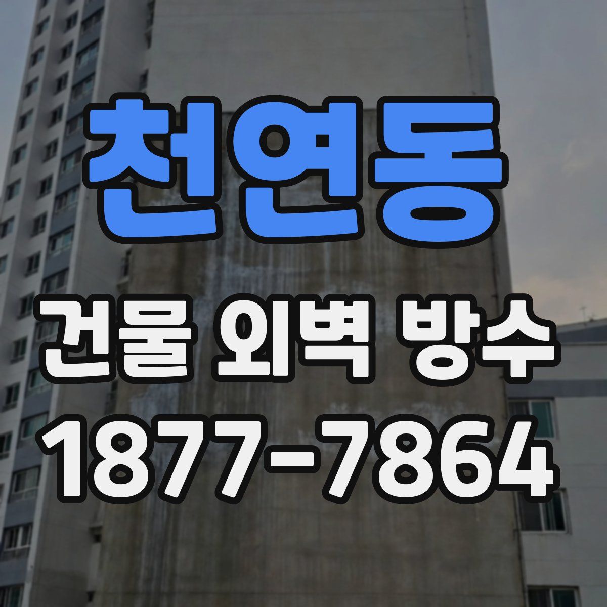 천연동 건물 외벽 방수