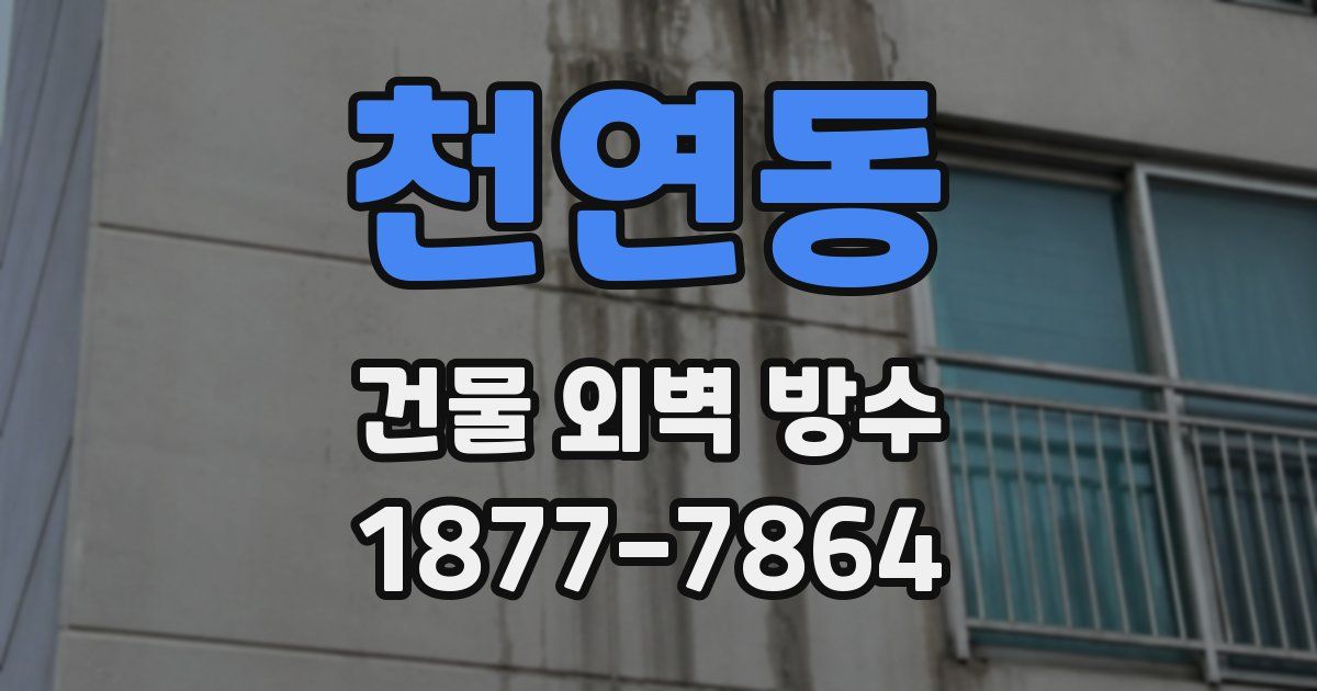 천연동 건물 외벽 방수