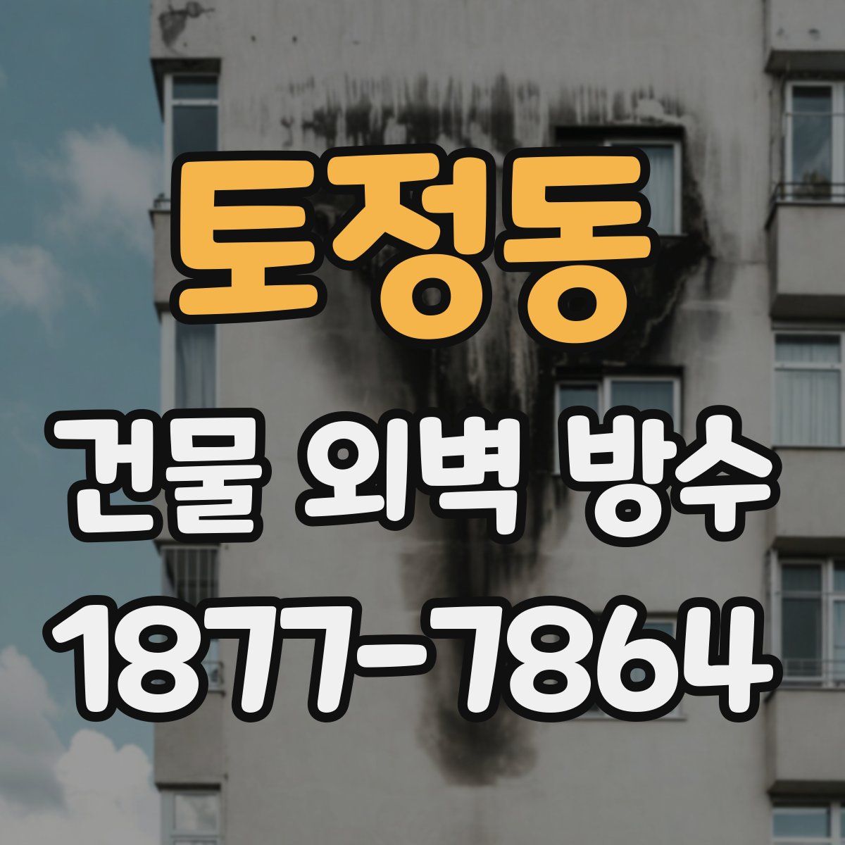 토정동 건물 외벽 방수