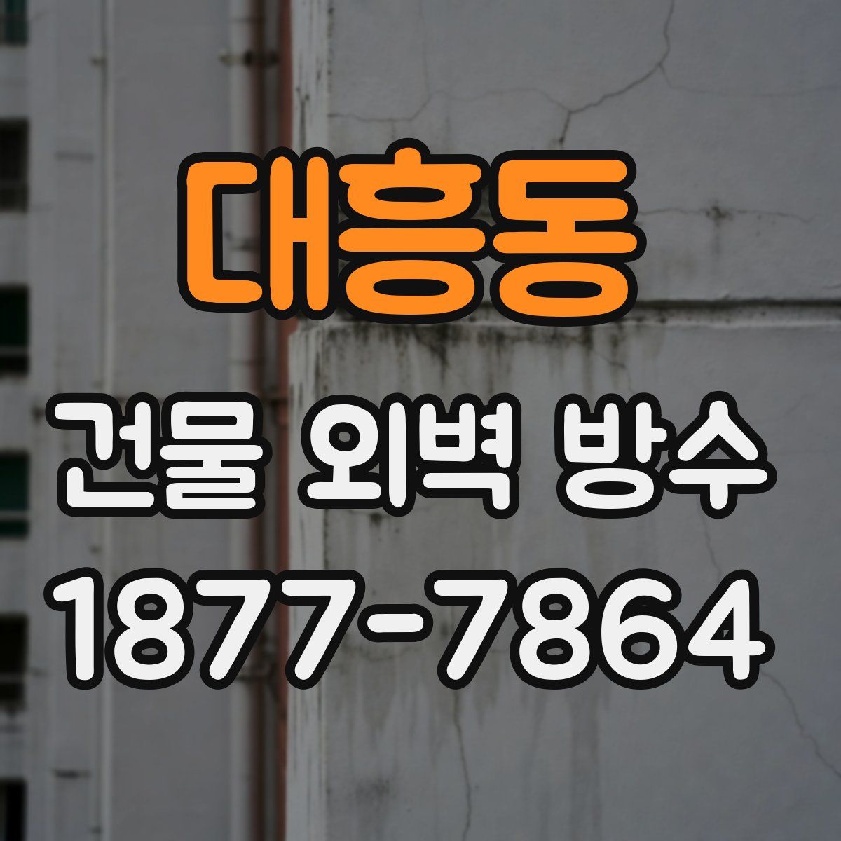 대흥동 건물 외벽 방수