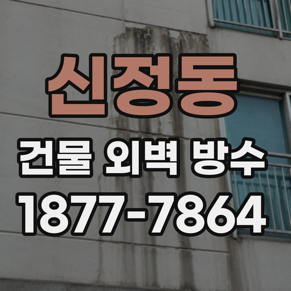 신정동 건물 외벽 방수